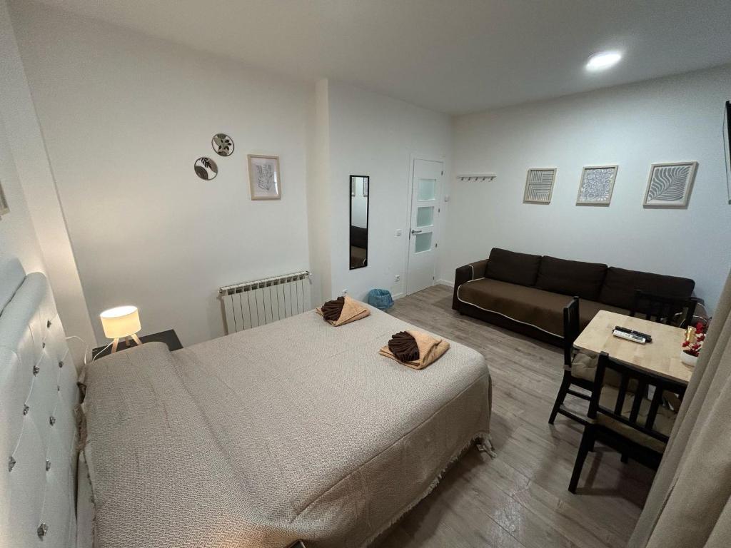 Habitaciones en Embajadores - Resim 20