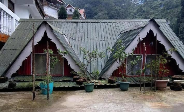 a house with plants in front of it at Darjeeling Nest in Darjeeling