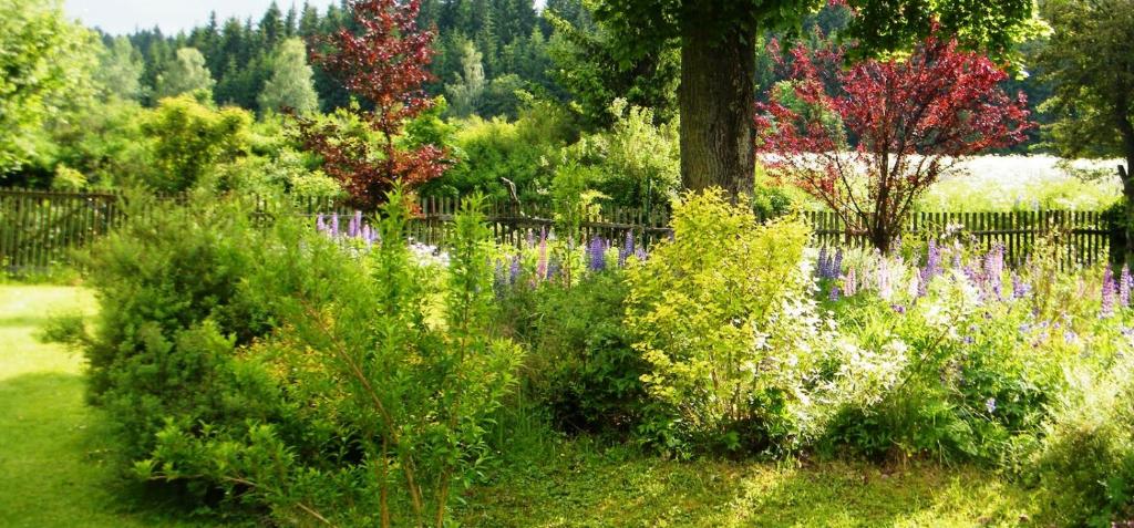 Een tuin van Rainmühle