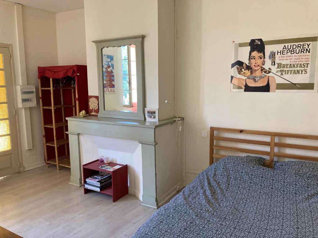 - une chambre avec un lit, un miroir et une cheminée dans l'établissement la porte verte, à Montauban