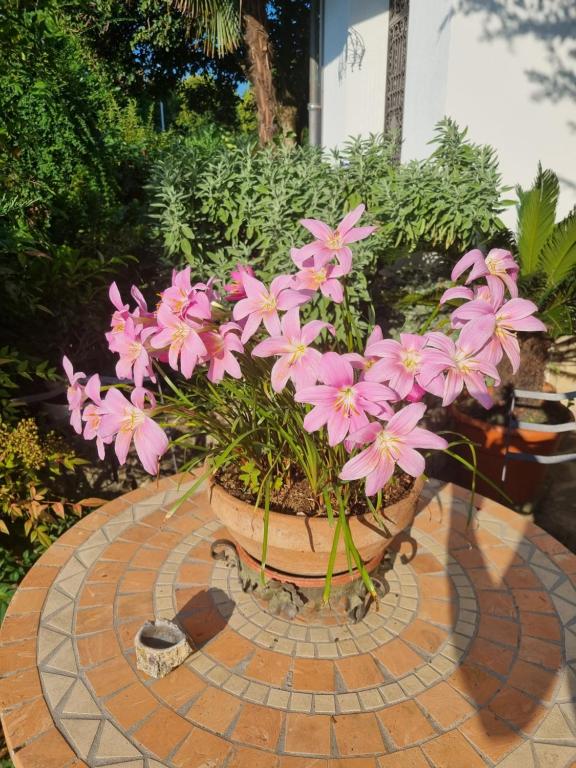 Zahrada ubytování B&B Fontanella