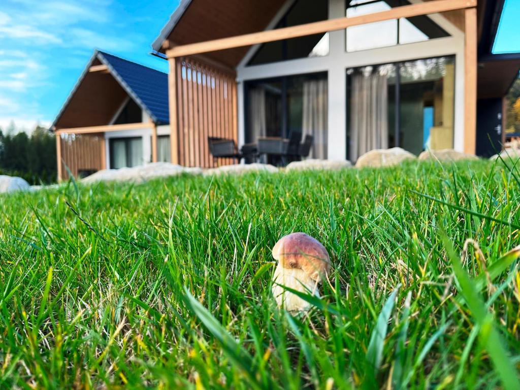 a fire hydrant in the grass in front of a house at Galena i Gnejs in Stronie Śląskie