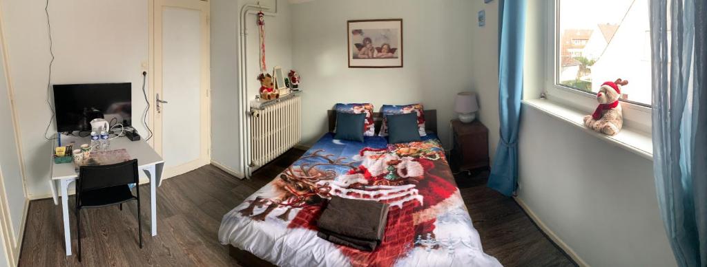 Chez Tiina - Colmar Guest Room – photo 11