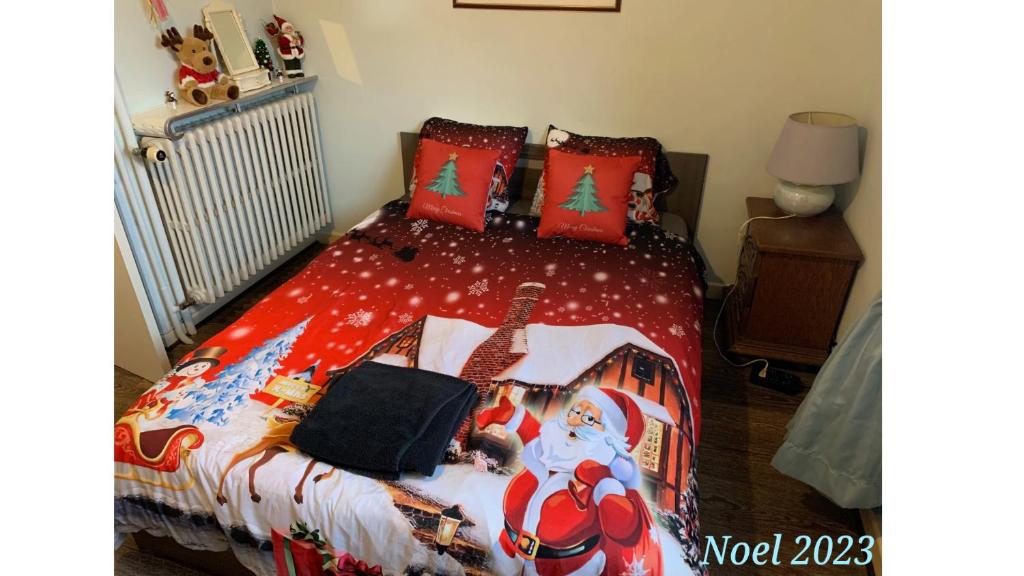 Chez Tiina - Colmar Guest Room – photo 13