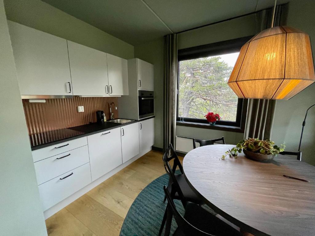 Kuchyň nebo kuchyňský kout v ubytování Gausta View Boutique Hostel