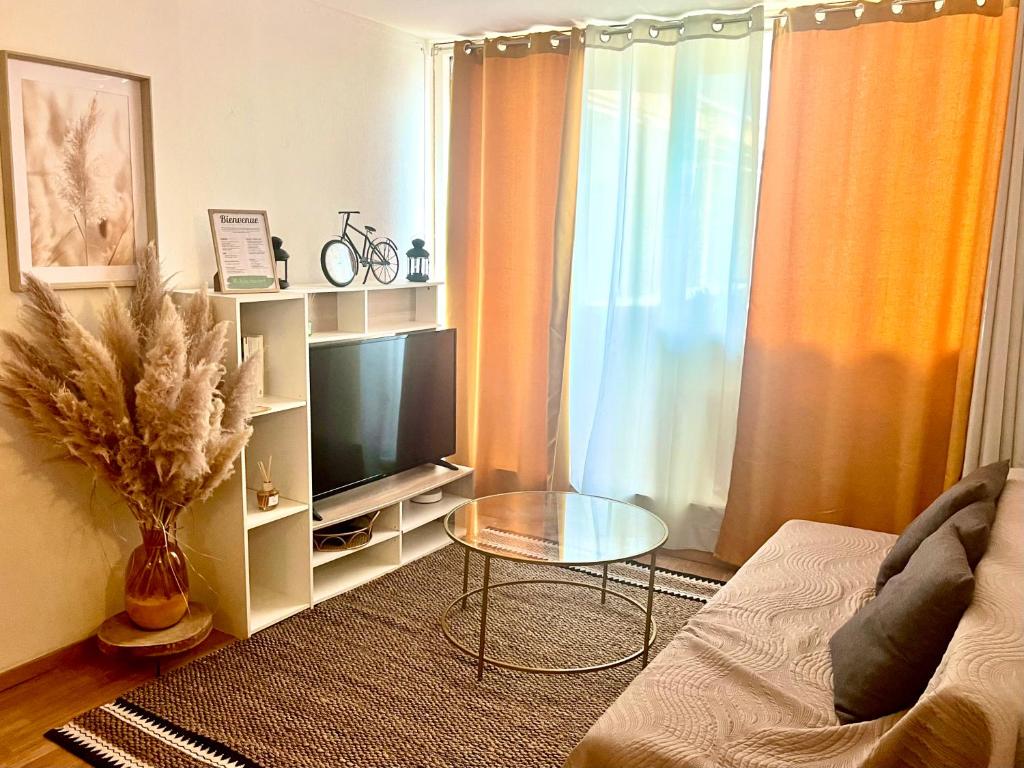 un salon avec une télévision et une table dans l'établissement Le Saint Jaumes parking inclus, à Montpellier