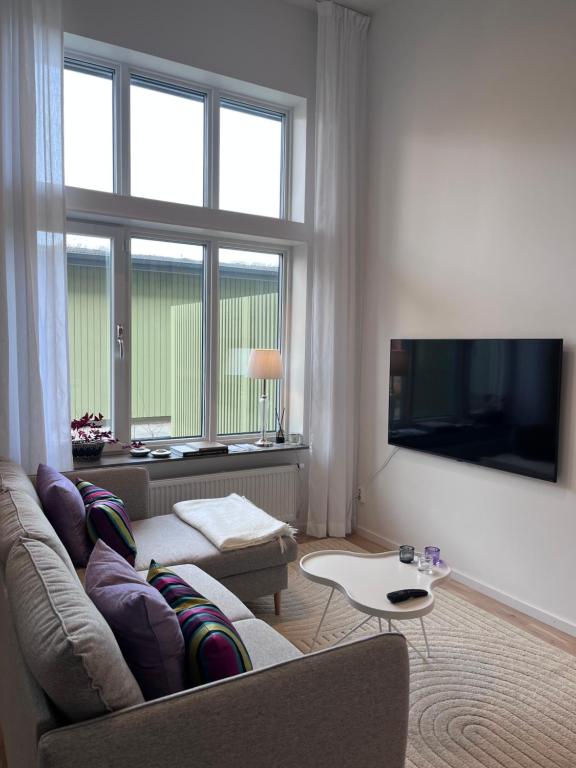 TV a/nebo společenská místnost v ubytování Lomma Harbour Apartment