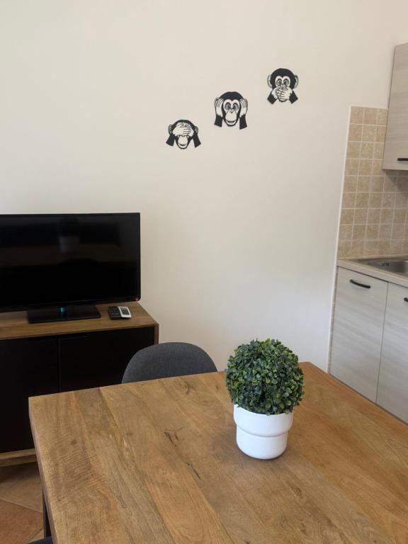 a potted plant sitting on a wooden table in a kitchen at Little House in Fiumicino