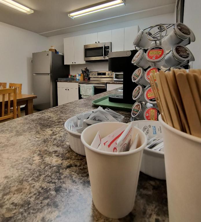 Kuchyň nebo kuchyňský kout v ubytování Fireweed Motel