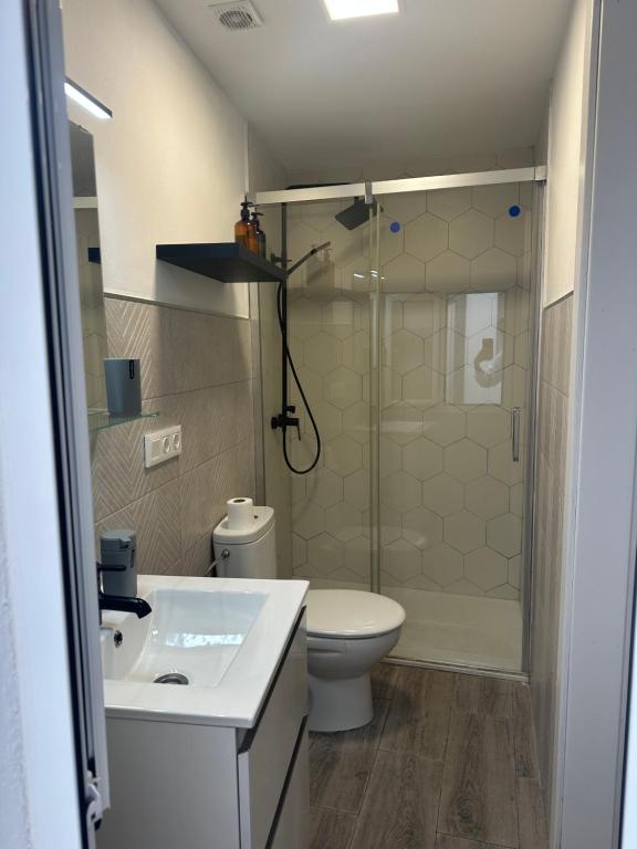 a bathroom with a shower and a toilet and a sink at Encantador Bajo en Villafranca de Córdoba in Villafranca de Córdoba