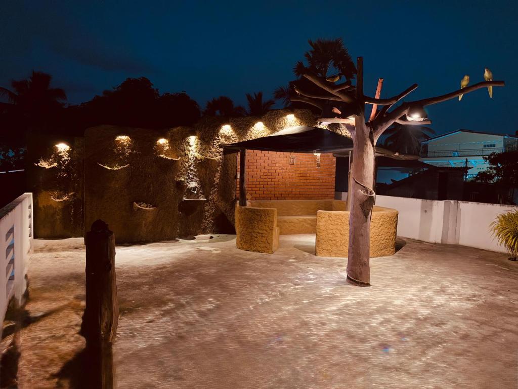 a tree with lights in a yard at night at Birds Nest in Trincomalee