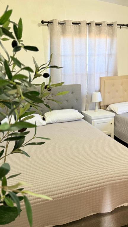 a bedroom with a bed and a plant at Hotel Mision Ferrer in San Vicente