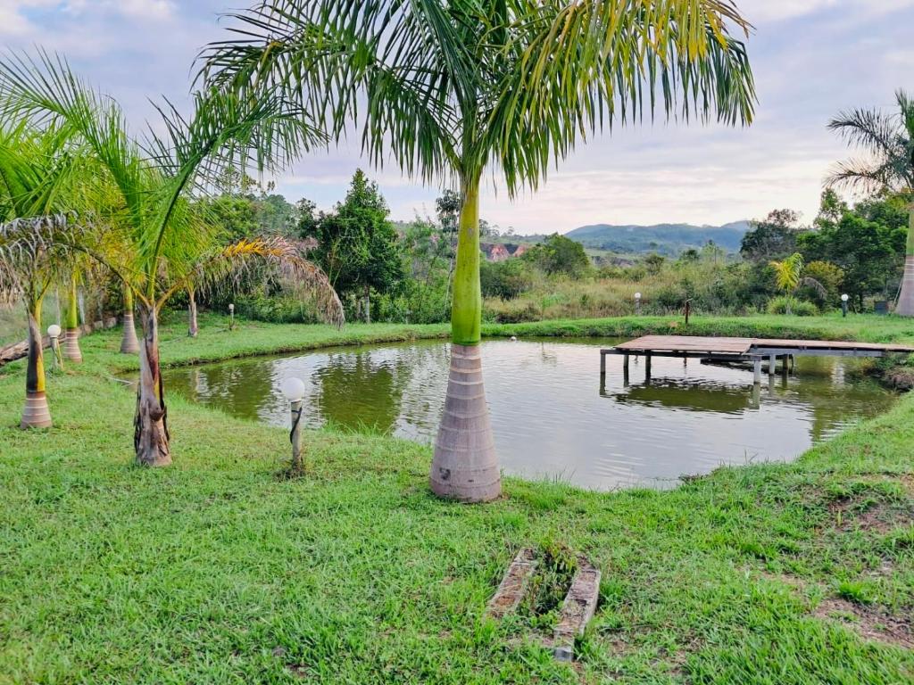 un gruppo di palme vicino a un fiume di Hospedaria Paraíso das Águas Suíte independente KitBet com cozinha completa a Itabirito