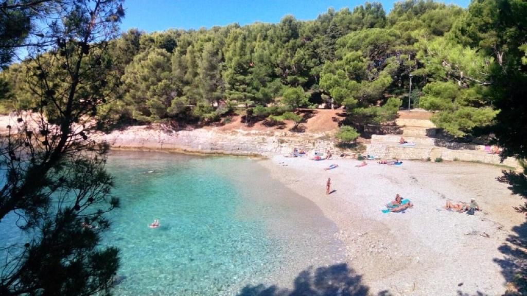 grupa ludzi na plaży w wodzie w obiekcie Apartment Jadranka w Puli