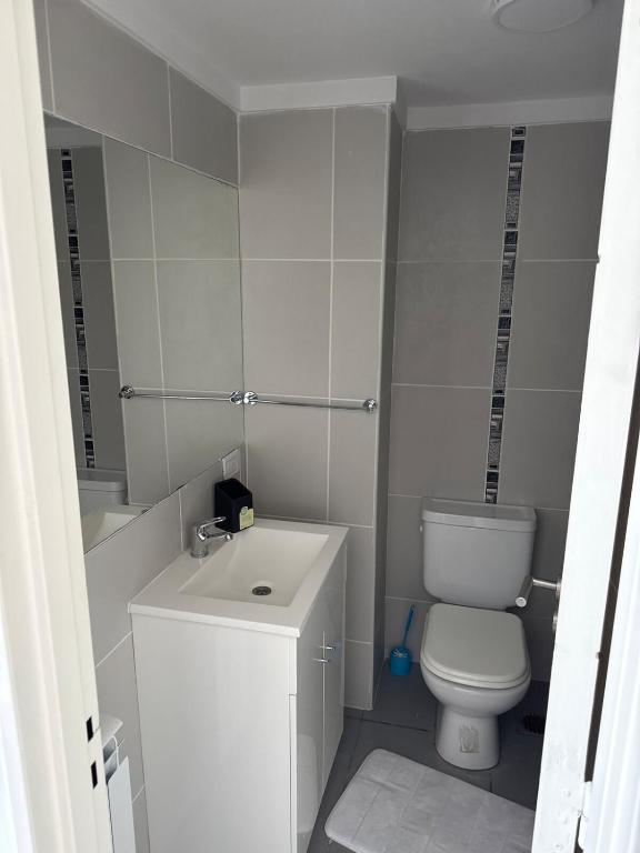 Departamento Nro 4 de 1 dormítorio más sofá cama en living