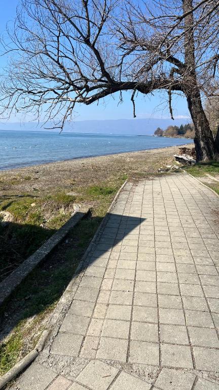 l'ombra di un albero su un marciapiede vicino all'oceano di Apartment Voska a Ohrid