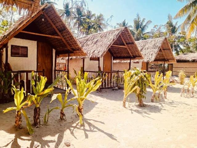 a group of houses with palm trees in front of them at Emil's Beach Cottage in El Nido