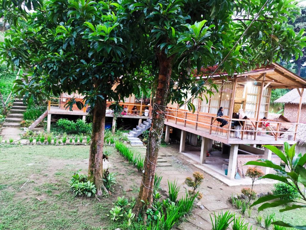 Zahrada ubytování Bua Guesthouse Tangkahan