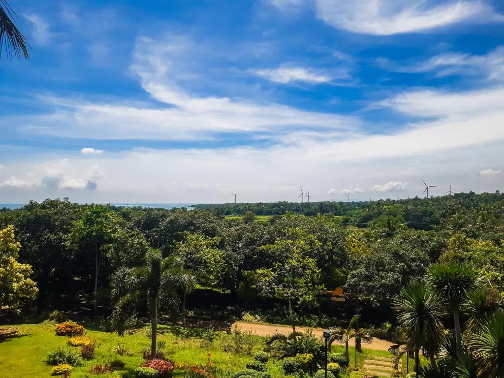 Příroda nedaleko rezortu