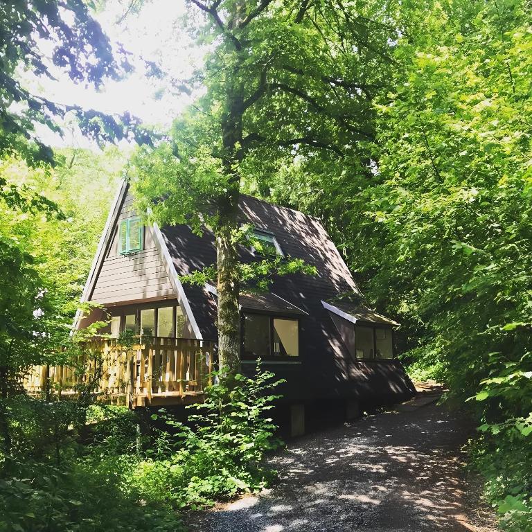 ein Haus mitten im Wald in der Unterkunft Chalet Het Hulstje 1 in Durbuy