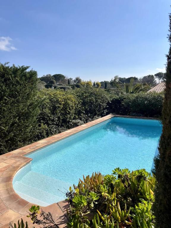 une grande piscine bleue dans une cour dans l'établissement Villa des Cigales vue mer avec piscine/proche plage, à Grimaud