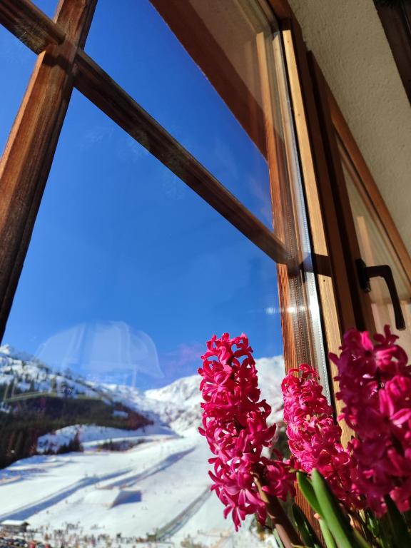 Nespecifikovaný výhled na hory nebo výhled na hory při pohledu z hotelu