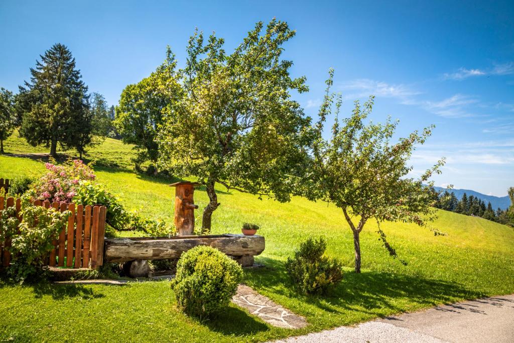 Příroda nedaleko apartmánu