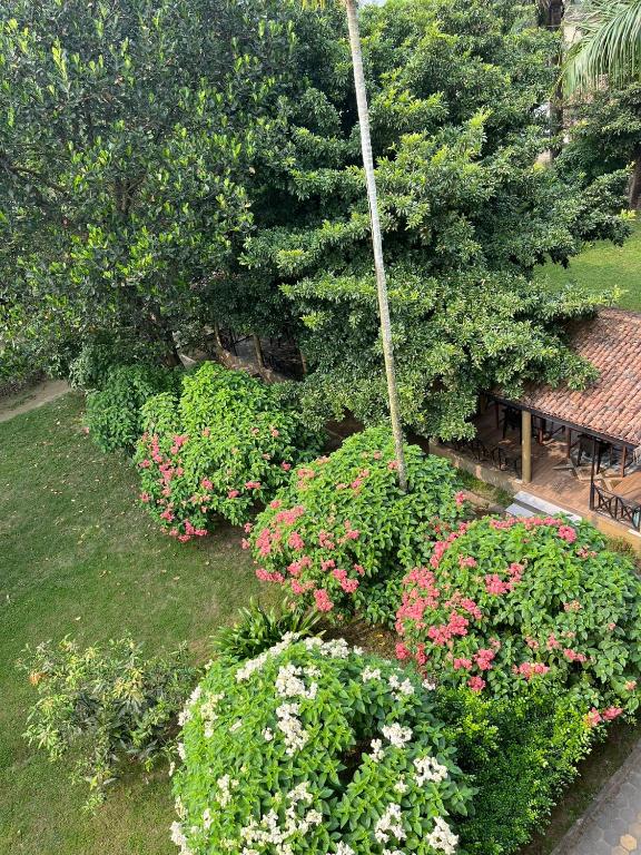 Zahrada ubytování Tiger Residency Resort