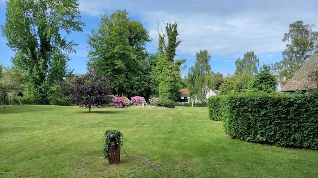 En have udenfor Lodsoldermandsgården