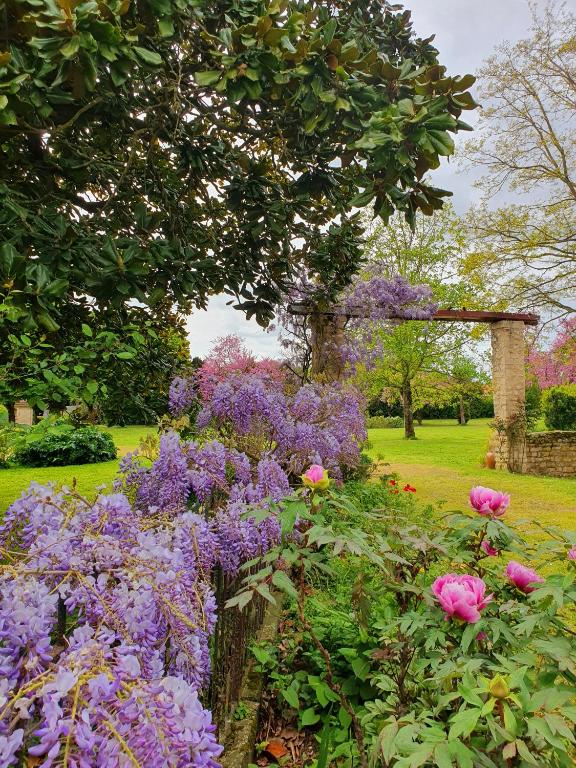 un jardin avec des fleurs violettes et une pergola dans l'établissement La Glycine, à Luçon