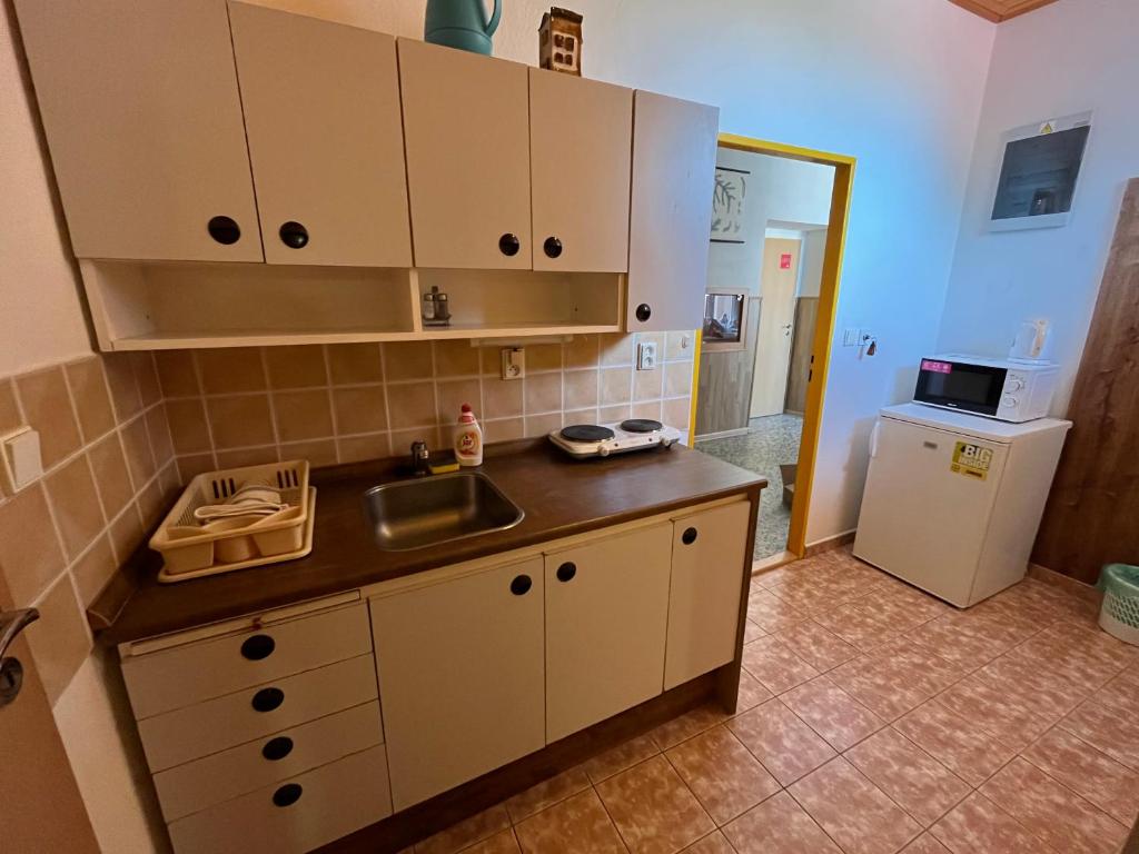 Kuchyň nebo kuchyňský kout v ubytování Apartmánový dům Obecná škola