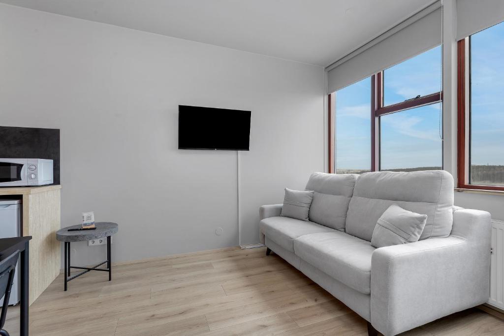 TV a/nebo společenská místnost v ubytování Iceland Comfort Apartments by Heimaleiga