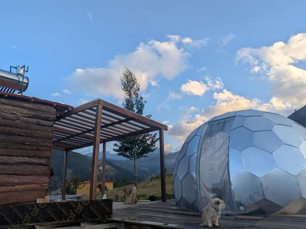 Κήπος έξω από το El Domo del Fundo Micaelita