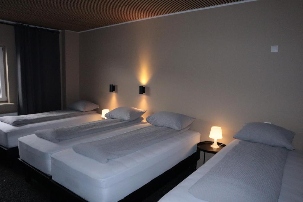 Postel nebo postele na pokoji v ubytování Blue Viking Guesthouse
