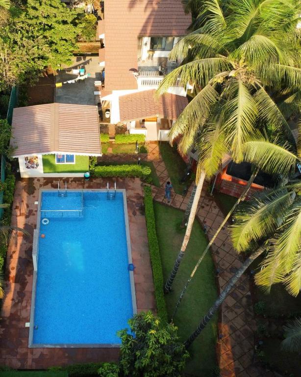 an overhead view of a swimming pool with a palm tree at Tipsy Spring Resort in Nagaon