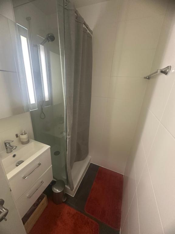 Magnificent apartment, Geneva Center, Geneva Lake - Resim 3