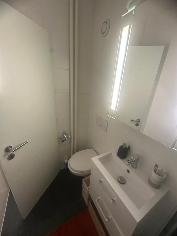 Magnificent apartment, Geneva Center, Geneva Lake - Resim 7