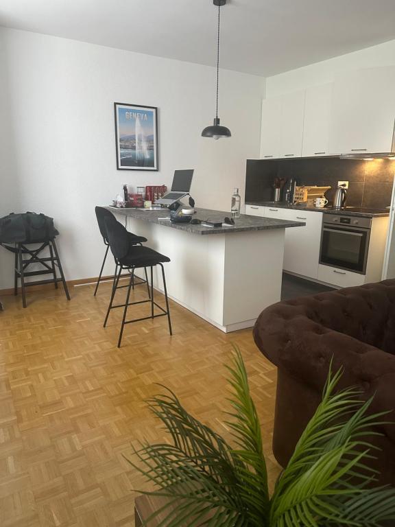 Magnificent apartment, Geneva Center, Geneva Lake - Resim 4