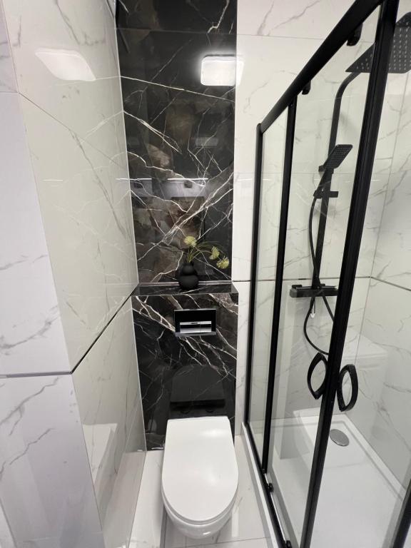 a bathroom with a toilet and a glass shower at Biały Żagiel in Władysławowo