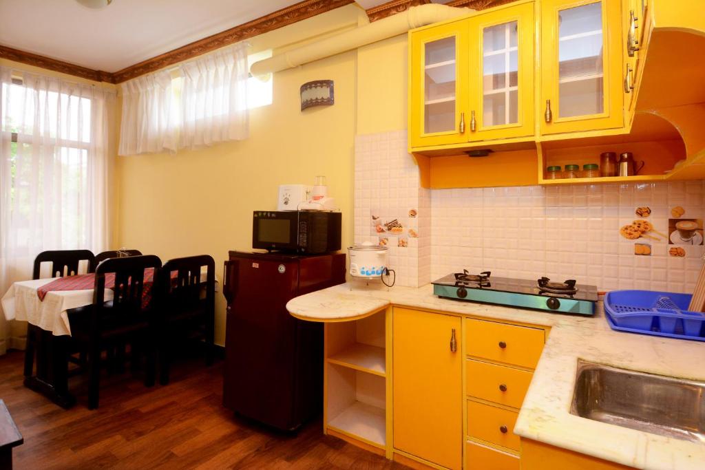 Dream Nepal Hotel and Apartment - Studio Apartment With Kitchen And Terrace