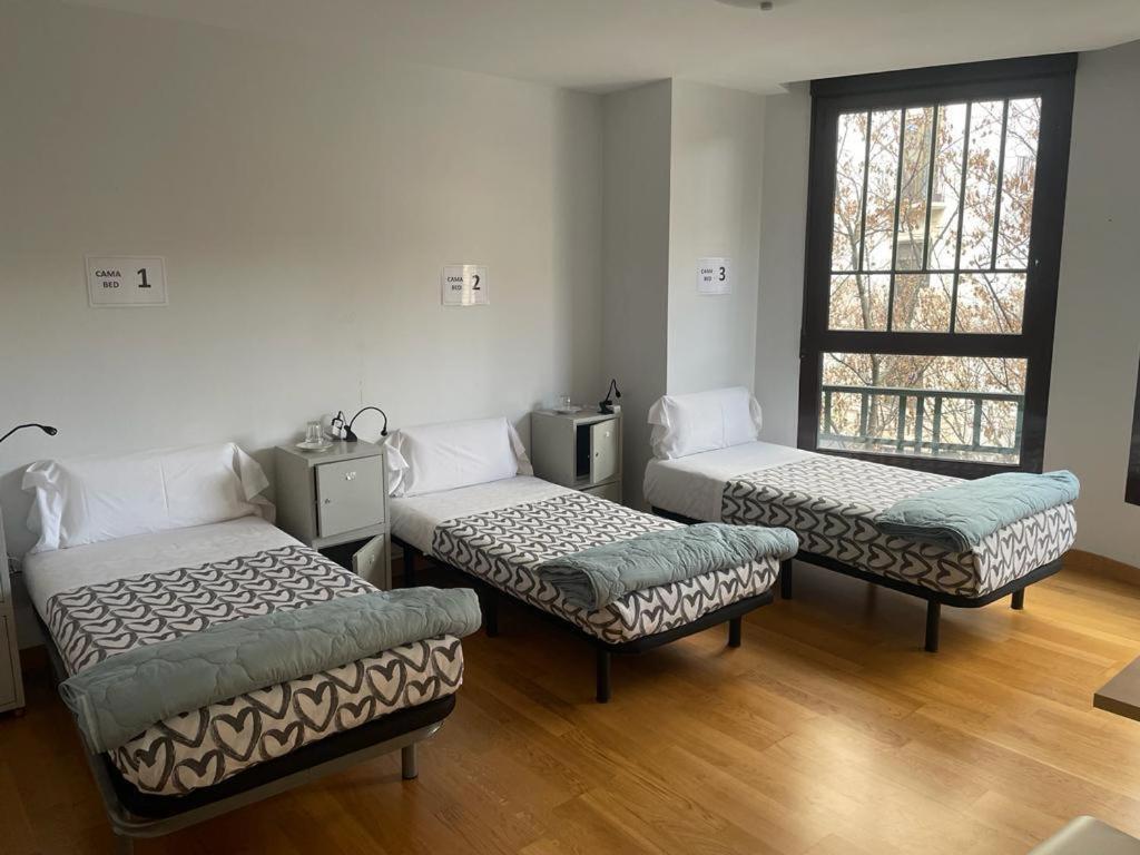 Posteľ alebo postele v izbe v ubytovaní Aloha Hostel