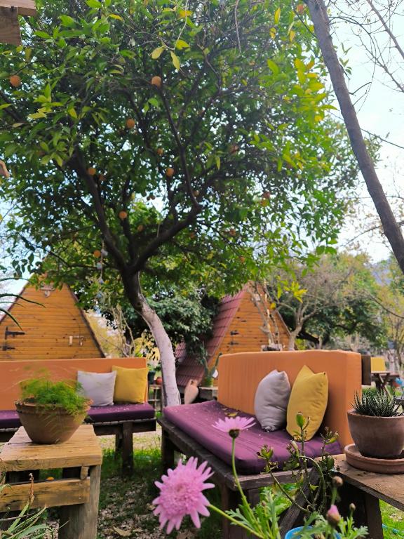 a group of benches sitting under a tree at Litost Cafe in Adrasan