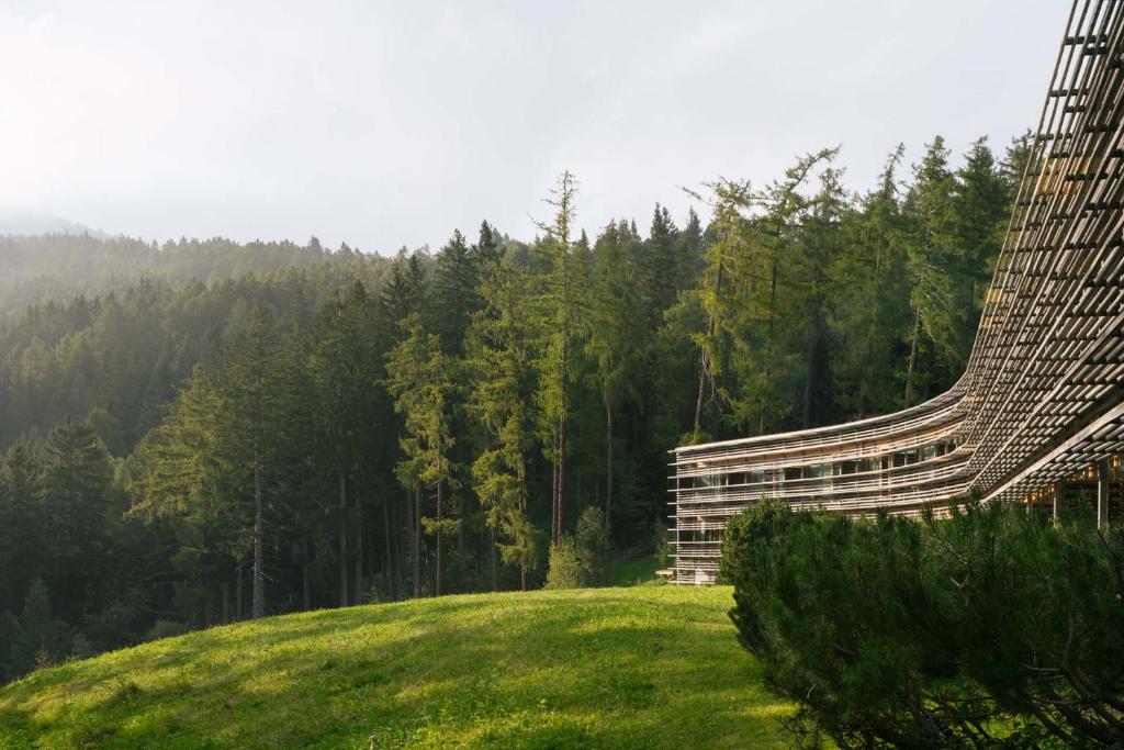 Příroda nedaleko hotelu