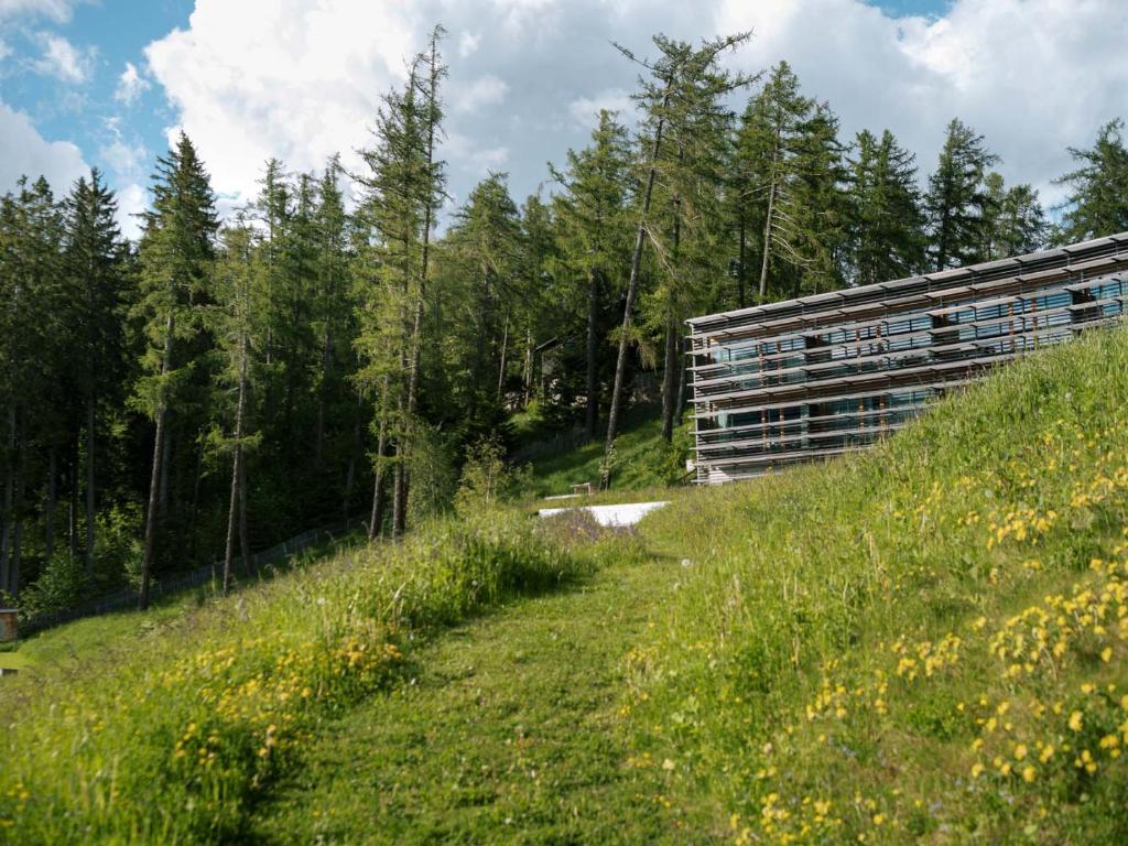 Příroda nedaleko hotelu