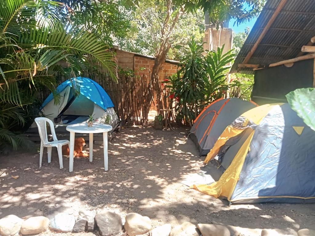 Zahrada ubytování Hostal Palomino EcoHouse & Camping