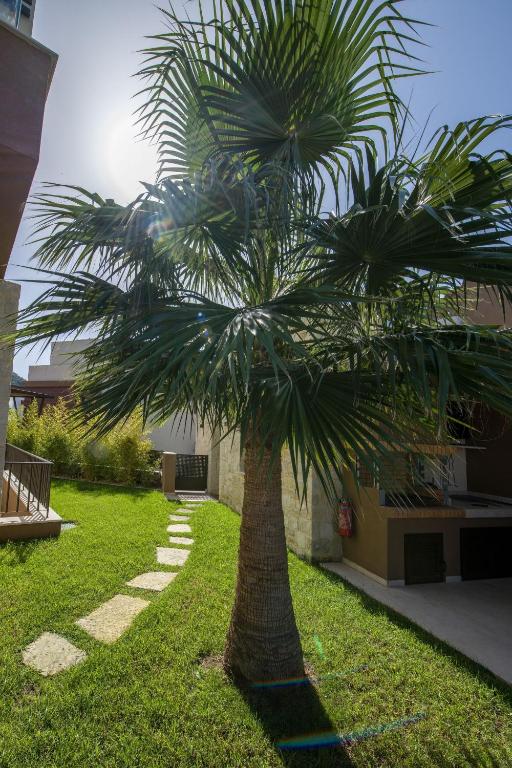 A garden outside Almi-Cove Hilltop Villas