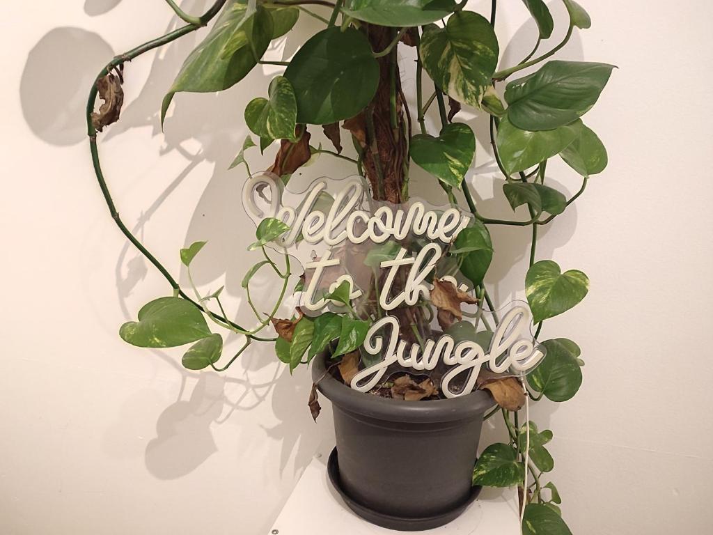 Φωτογραφία από το άλμπουμ του Jungle in Kelkheim for 4 Persons 24 h check in σε Kelkheim