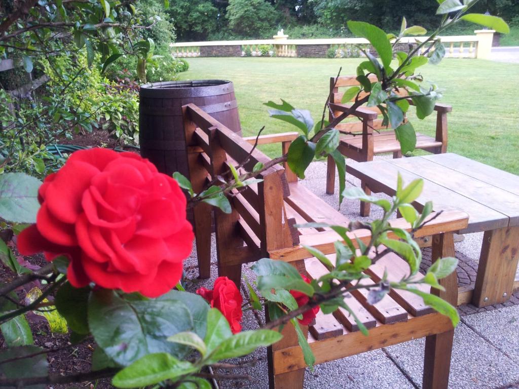 Zahrada ubytování 19th Green Guesthouse