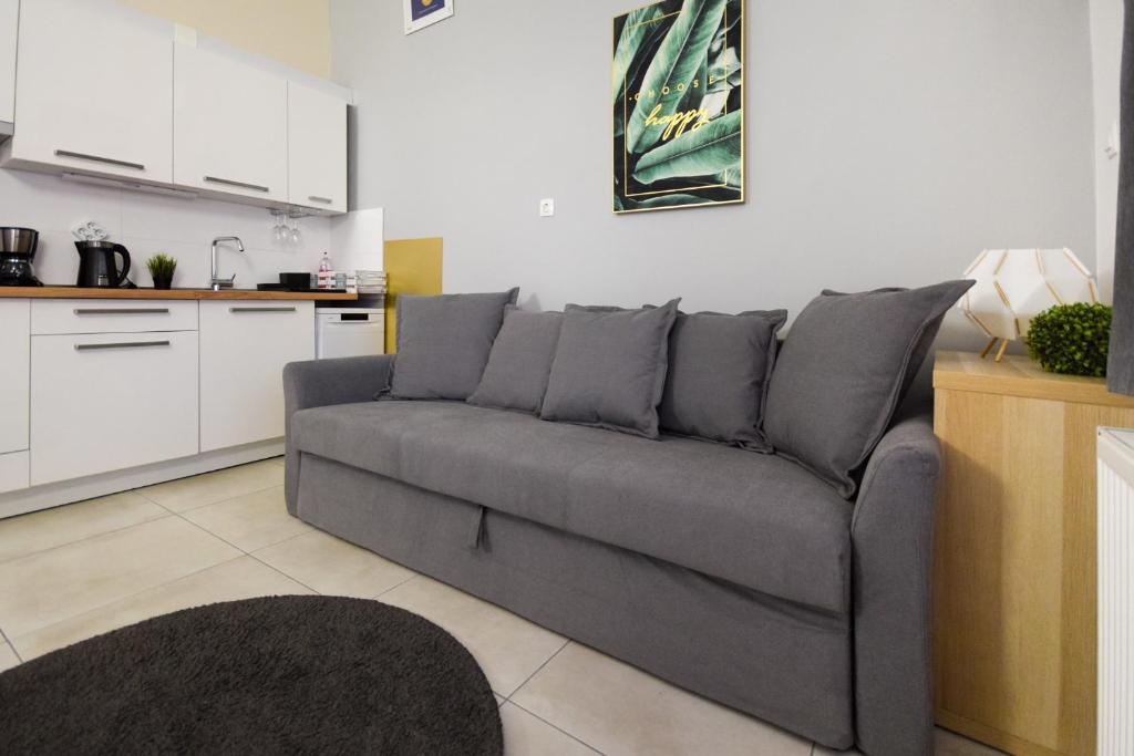Kuchyňa alebo kuchynka v ubytovaní Island Apartment Budapest