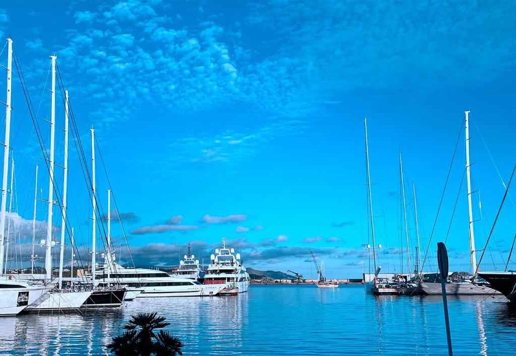 a bunch of boats are docked in a harbor at Entire Flat First Beach line - Sea Views - Vilanova i Geltru in Vilanova i la Geltrú